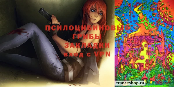 МДПВ Абаза