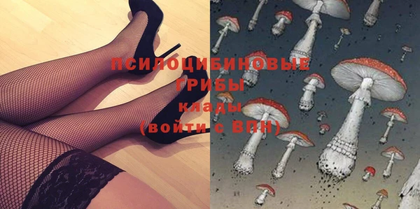 МДПВ Абаза