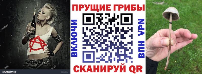 Псилоцибиновые грибы Psilocybe  купить закладку  hydra tor  Краснозаводск 